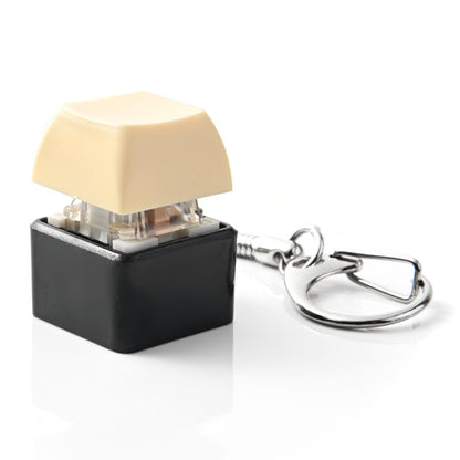 Stress Relief Keychain Toy